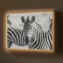Zebra's - Zwart - Wit Light Box met batterij (Wandlamp) middel -z3d_website