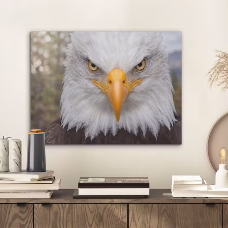 Amerikaans - Zeearend - Portret - Geel PET vilt klein -sfeer1