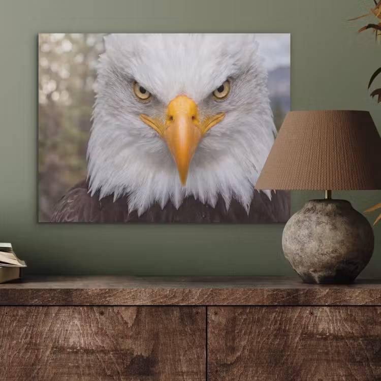 Amerikaans - Zeearend - Portret - Geel PET vilt klein -sfeer2