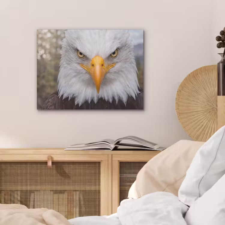 Amerikaans - Zeearend - Portret - Geel PET vilt klein -sfeer3