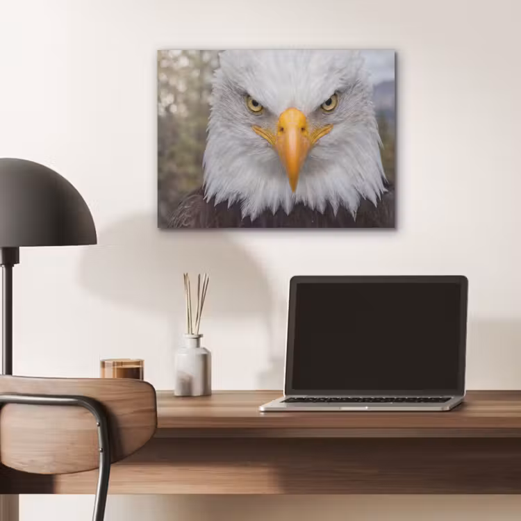 Amerikaans - Zeearend - Portret - Geel PET vilt klein -sfeer5