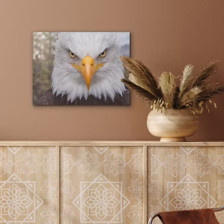 Amerikaans - Zeearend - Portret - Geel PET vilt klein -sfeer4