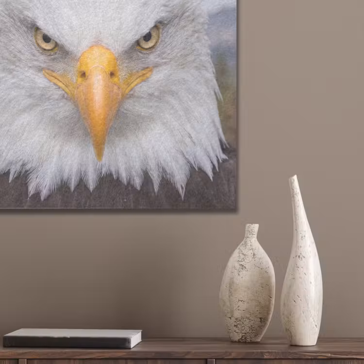 Amerikaans - Zeearend - Portret - Geel PET vilt klein -sfeer6_closeup