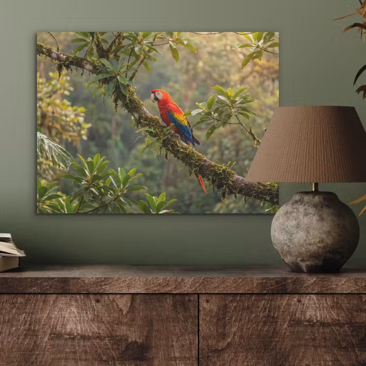 Ara - Jungle - Rood PET vilt klein -sfeer2