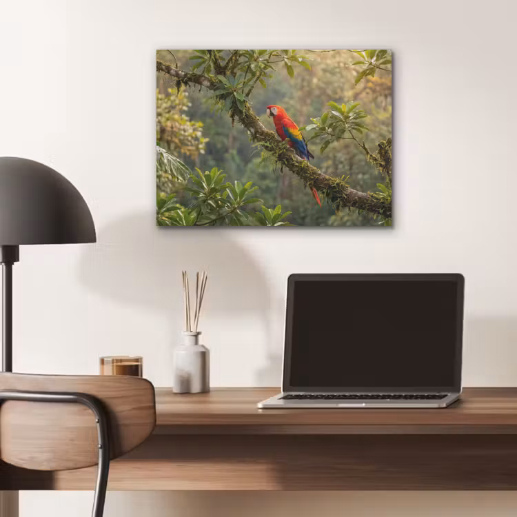 Ara - Jungle - Rood PET vilt klein -sfeer5