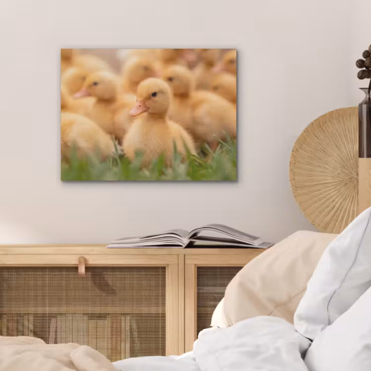 Pijltje - Eend - Natuur - Geel PET vilt klein -sfeer3