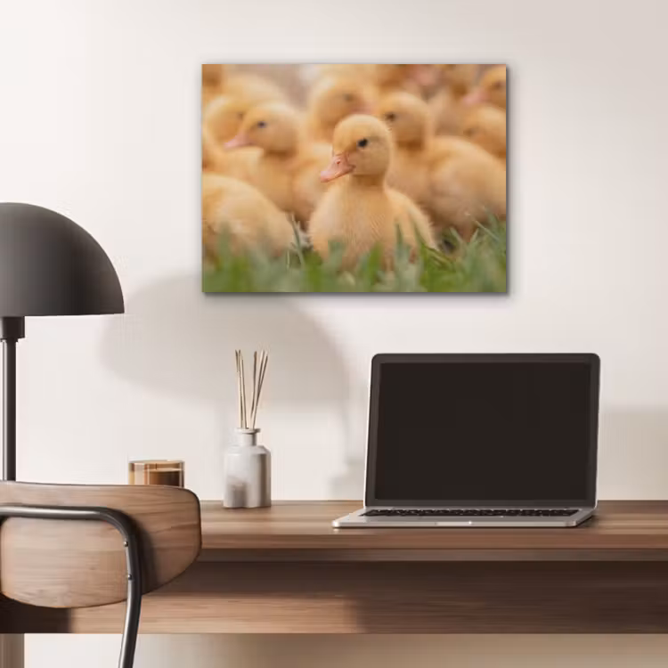 Pijltje - Eend - Natuur - Geel PET vilt klein -sfeer5