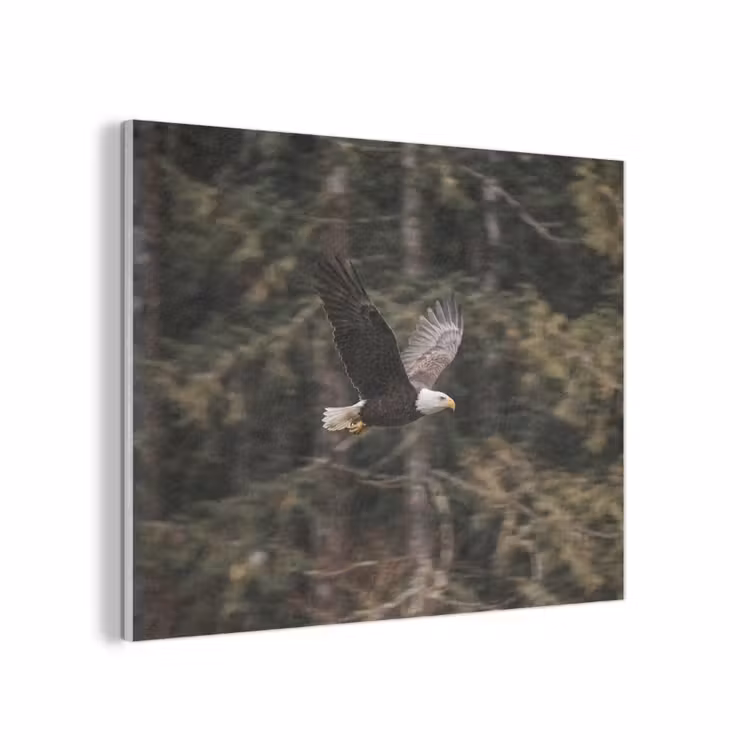 Zeearend - Vliegen - Bos - Natuur PET vilt klein -3d