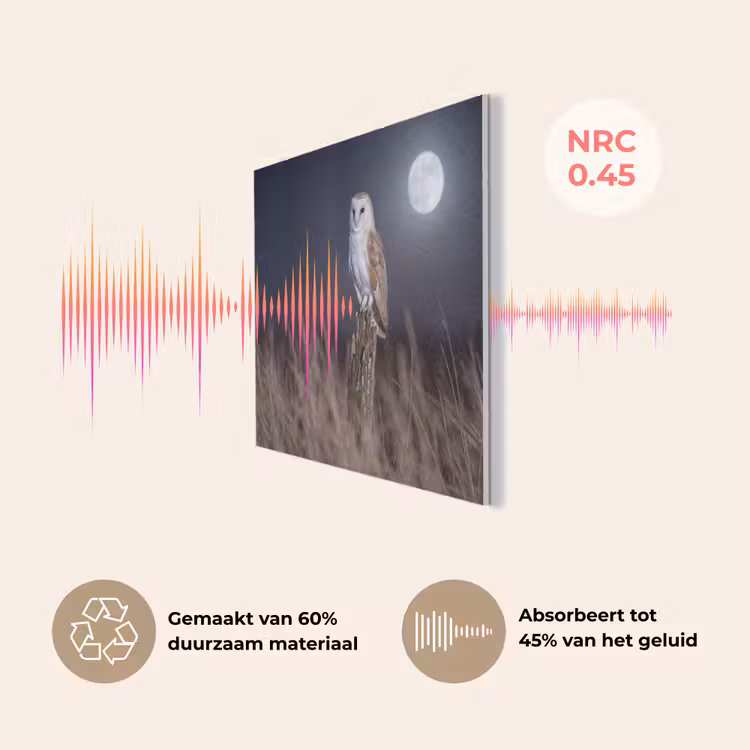 Kerkuil - Maan - Nacht PET vilt klein -USP_NL