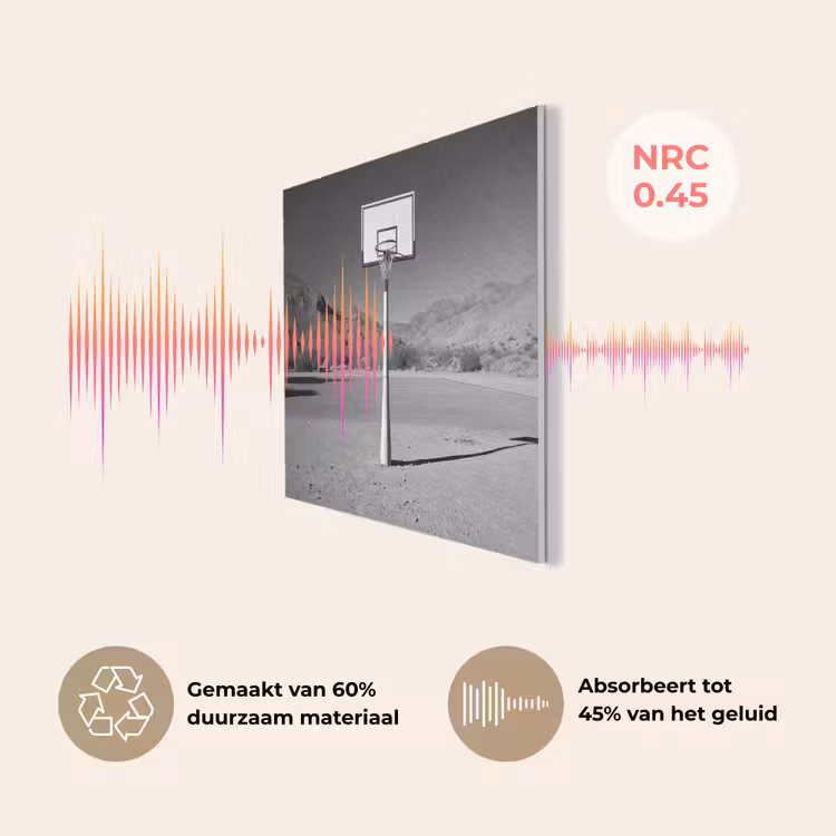 Basketbalpaal - Landschap - Zand - Wit PET vilt klein -USP_NL