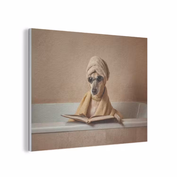 Bad - Hond - Boek - Zonnebril PET vilt klein -3d