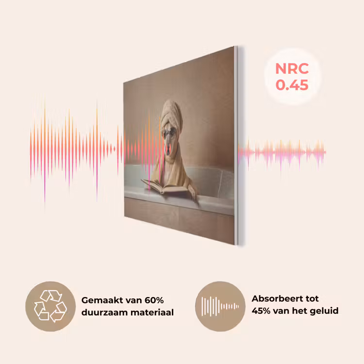 Bad - Hond - Boek - Zonnebril PET vilt klein -USP_NL