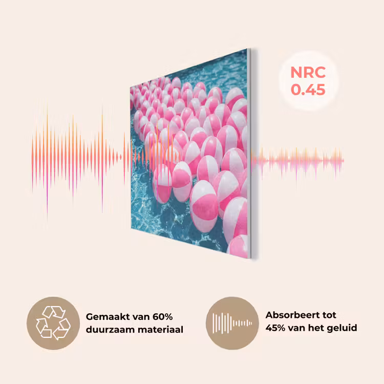 Strandballen - Roze - Water PET vilt klein -USP_NL