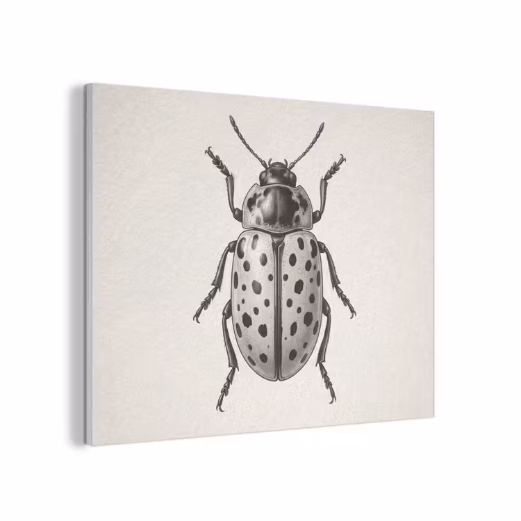 Kever - Insect - Vintage PET vilt klein -3d