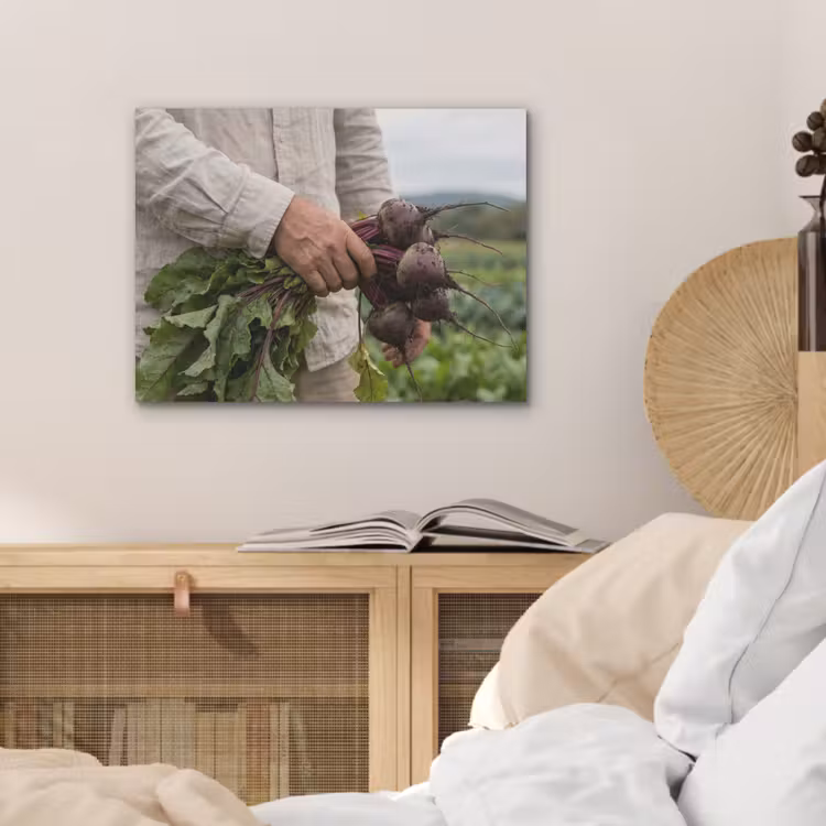Bieten - Vers - Moestuin PET vilt klein -sfeer3