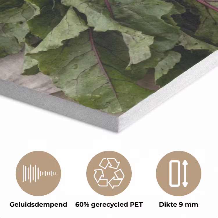 Bieten - Vers - Moestuin PET vilt klein -closeup_NL