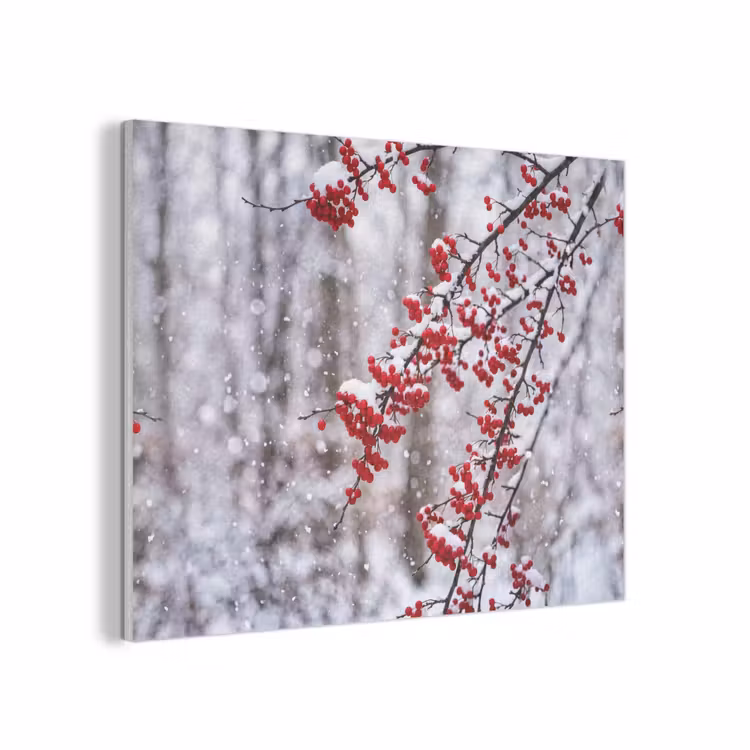 Bessen - Takken - Sneeuw - Winter - Kleurrijk PET vilt klein -3d