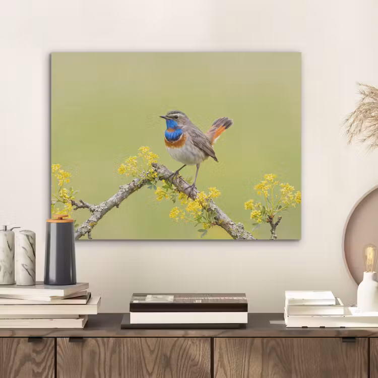 Vogel - Tak - Natuur - Kleurrijk PET vilt klein -sfeer1