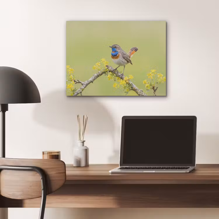 Vogel - Tak - Natuur - Kleurrijk PET vilt klein -sfeer5