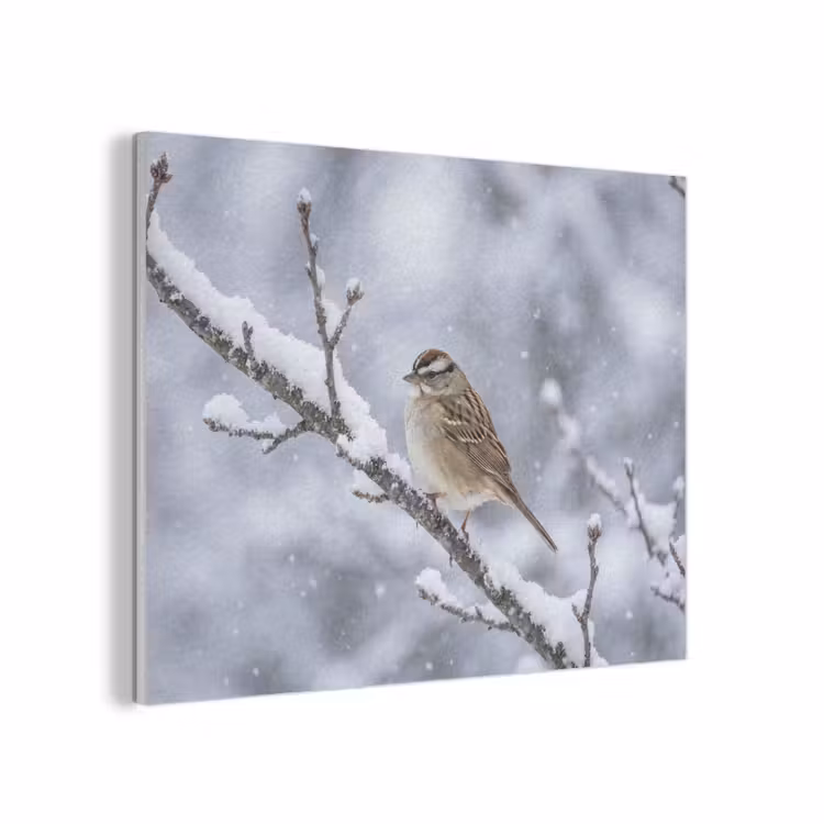 Vogel - Tak - Sneeuw - Winter PET vilt klein -3d