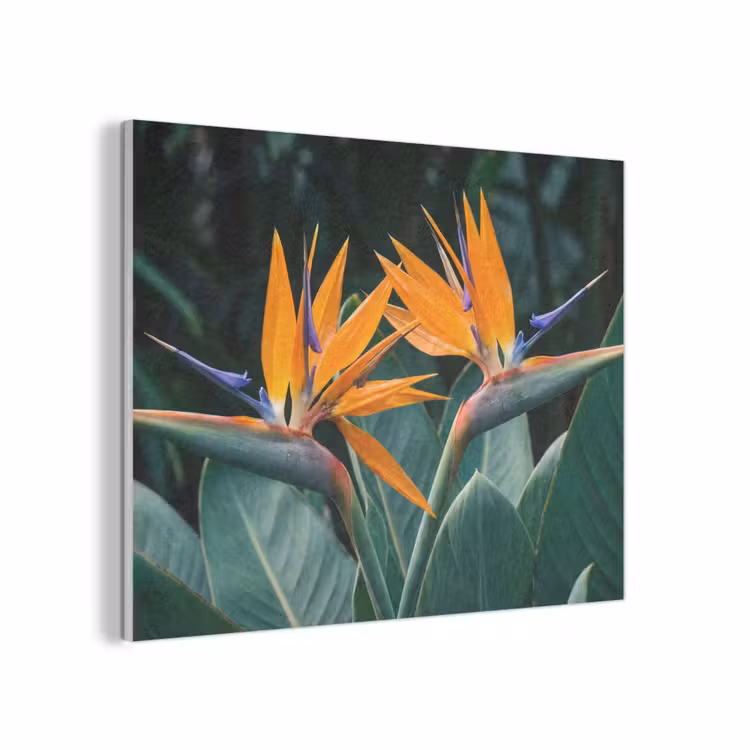 Paradijsvogel - Bloem - Exotisch PET vilt klein -3d