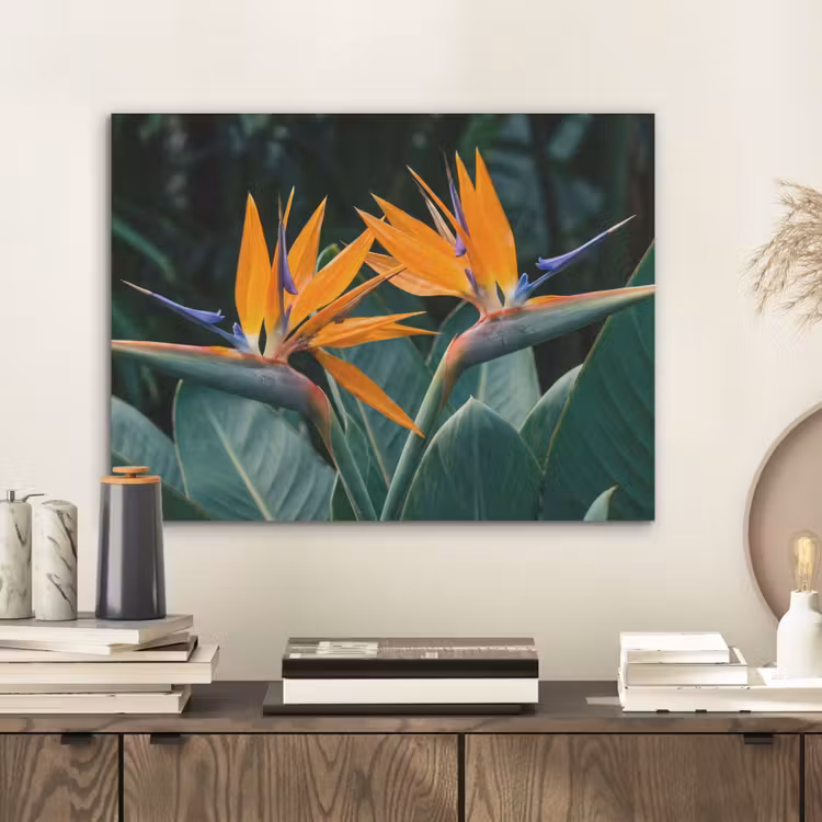 Paradijsvogel - Bloem - Exotisch PET vilt klein -sfeer1