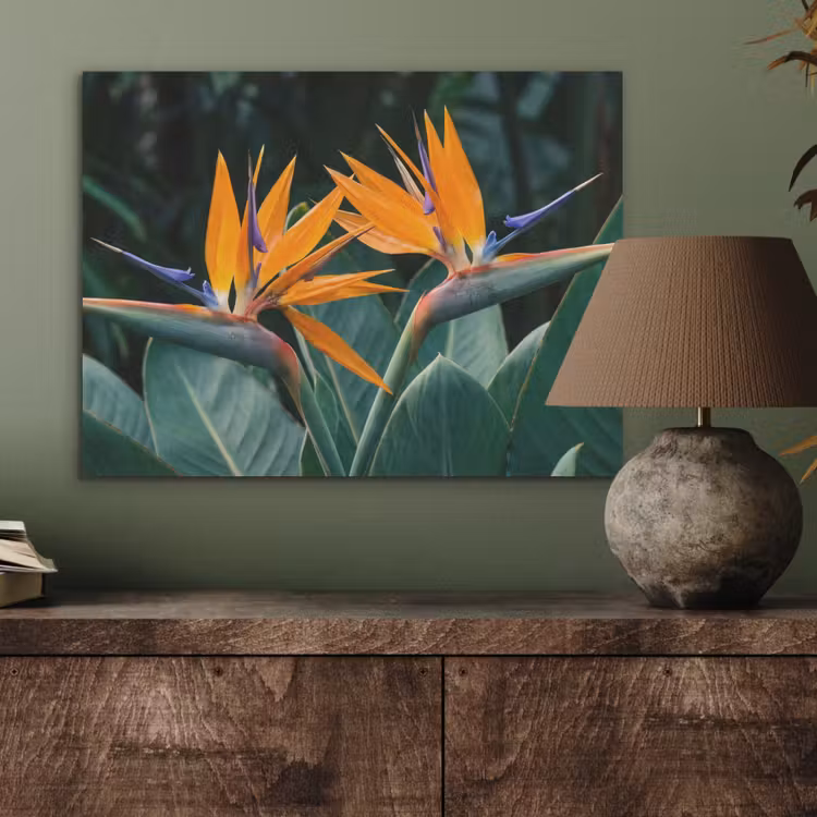 Paradijsvogel - Bloem - Exotisch PET vilt klein -sfeer2