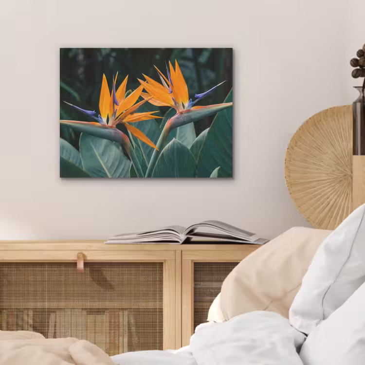 Paradijsvogel - Bloem - Exotisch PET vilt klein -sfeer3