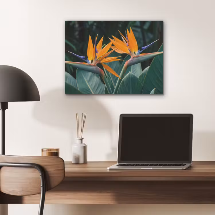 Paradijsvogel - Bloem - Exotisch PET vilt klein -sfeer5