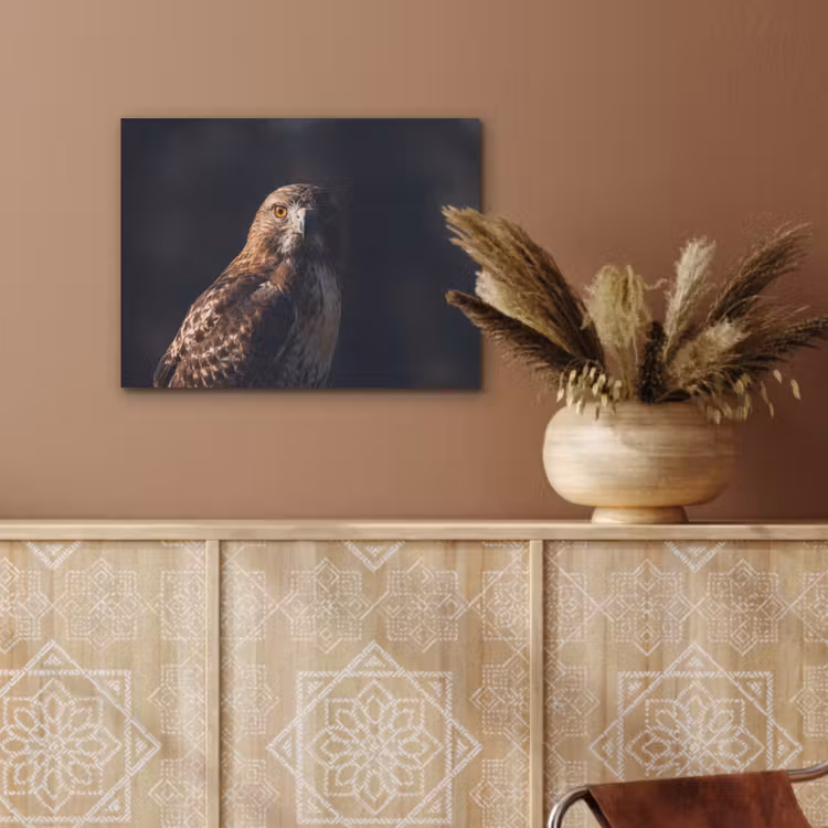 Roofvogel - Buizerd - Bruin PET vilt klein -sfeer4