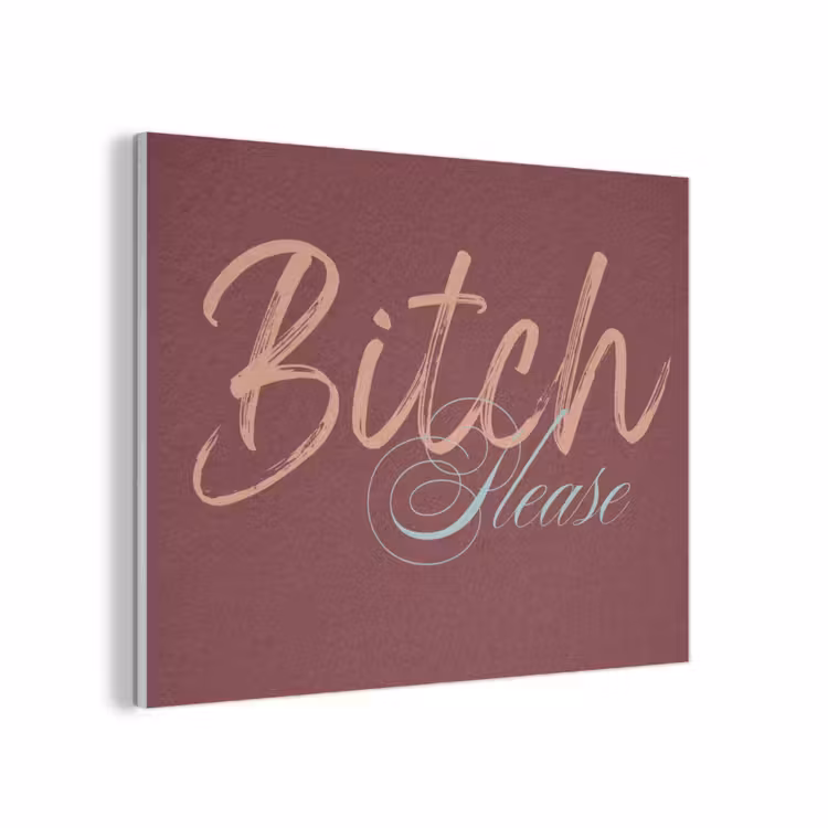 Bitch please - Rood - Blauw PET vilt klein -3d