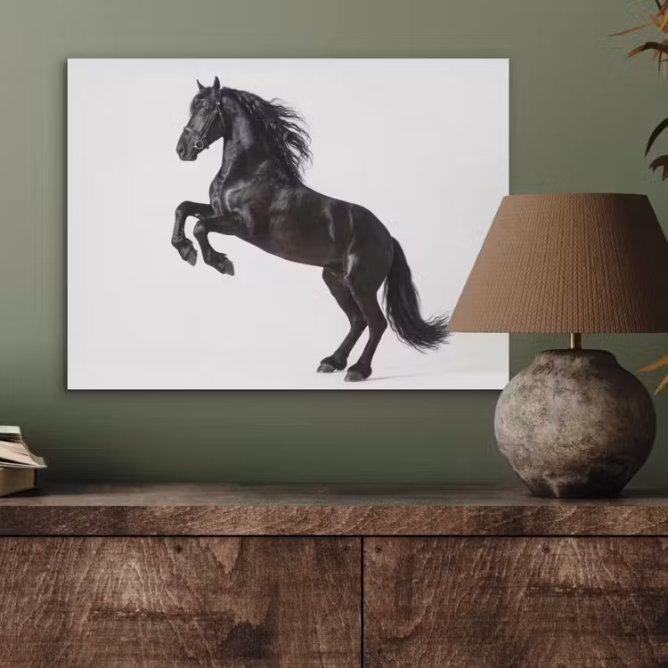Zwart - Paard - Portret PET vilt klein -sfeer2