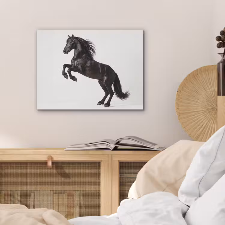 Zwart - Paard - Portret PET vilt klein -sfeer3