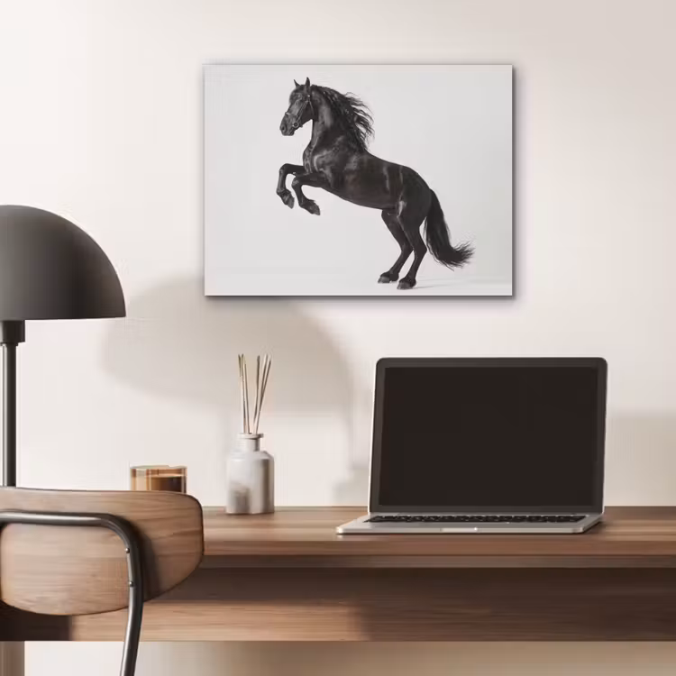 Zwart - Paard - Portret PET vilt klein -sfeer5