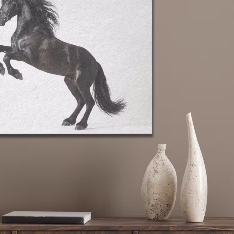 Zwart - Paard - Portret PET vilt klein -sfeer6_closeup