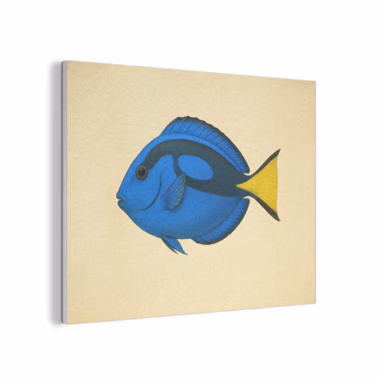 Blauw - Dory - Vis - Staartvin PET vilt klein -3d