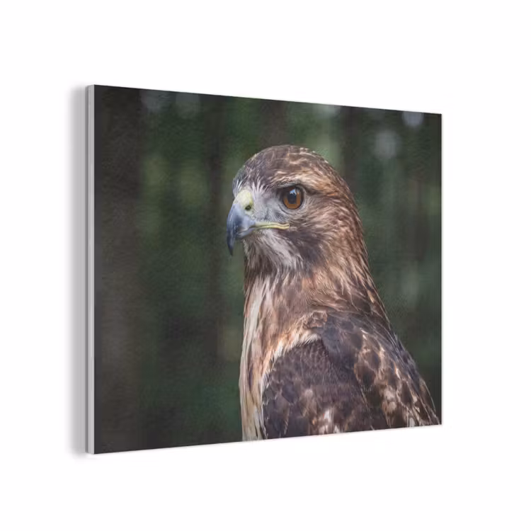 Buizerd - Roofvogel - Natuur - Bruin PET vilt klein -3d
