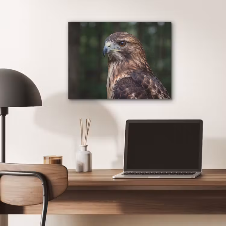 Buizerd - Roofvogel - Natuur - Bruin PET vilt klein -sfeer5