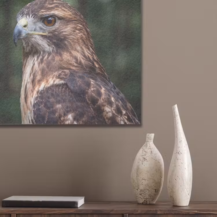 Buizerd - Roofvogel - Natuur - Bruin PET vilt klein -sfeer6_closeup