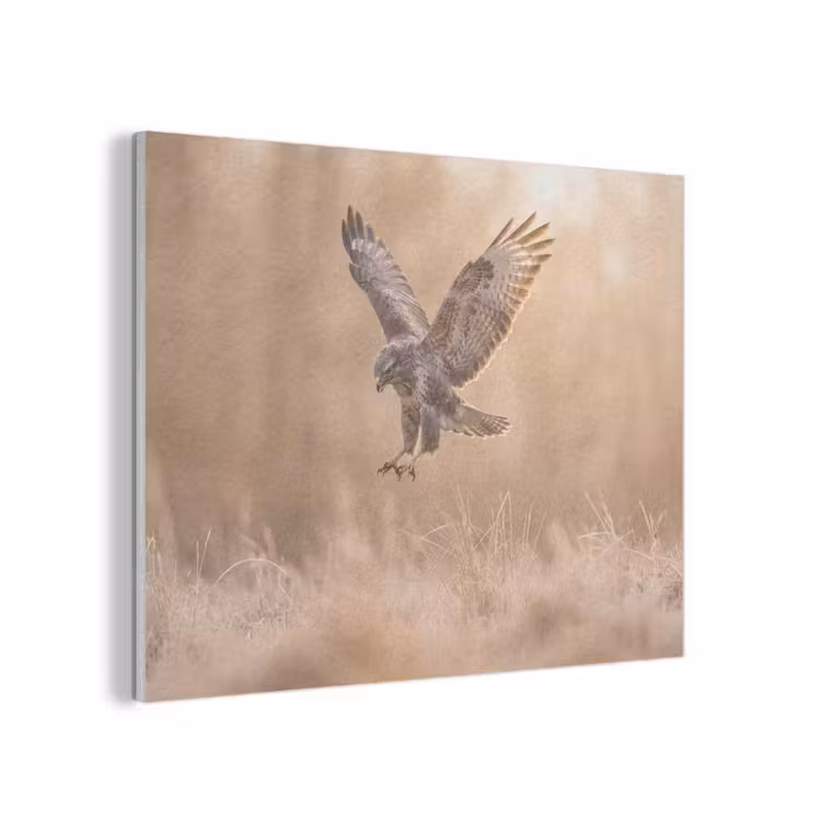 Buizerd - Roofvogel - Natuur - Bruin PET vilt klein -3d