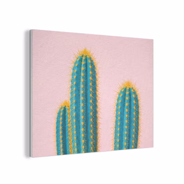 Cactussen - Modern - Pastel PET vilt klein -3d