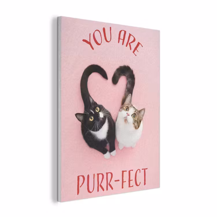 Kat - Hart - Tekst - Valentijn PET vilt klein -3d