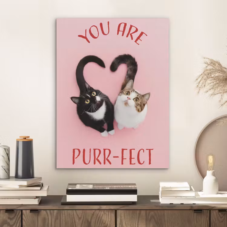 Kat - Hart - Tekst - Valentijn PET vilt klein -sfeer1