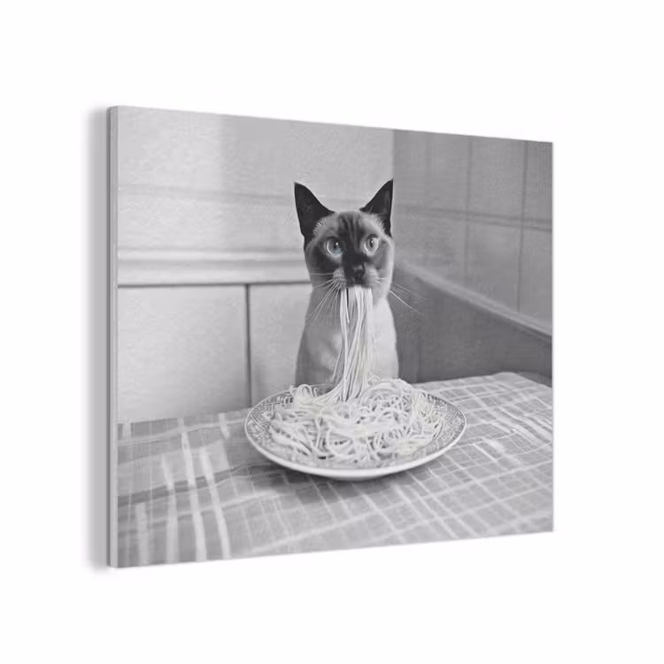 Kat - Siamees - Zwart Wit - Schattig - Dieren PET vilt klein -3d