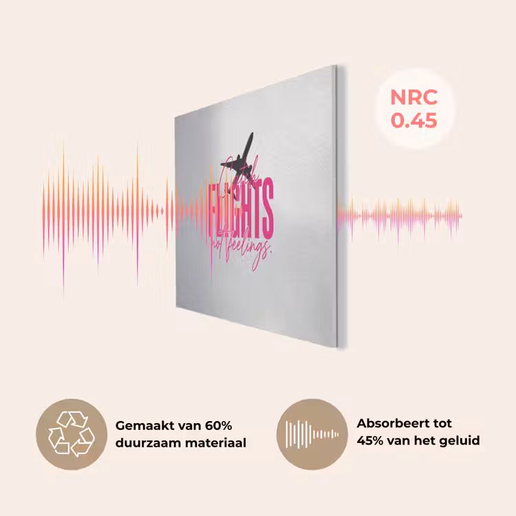 Catch flights not feelings - Vliegtuig - Roze PET vilt klein -USP_NL