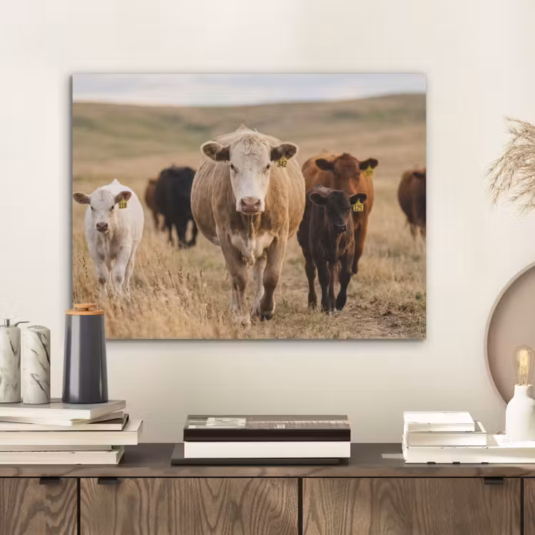 Runderen - Kudde - Landschap - Weide - Rustig PET vilt klein -sfeer1