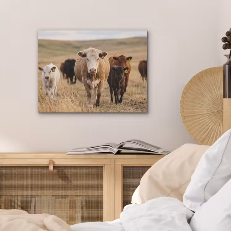 Runderen - Kudde - Landschap - Weide - Rustig PET vilt klein -sfeer3