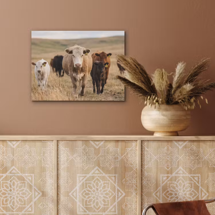 Runderen - Kudde - Landschap - Weide - Rustig PET vilt klein -sfeer4