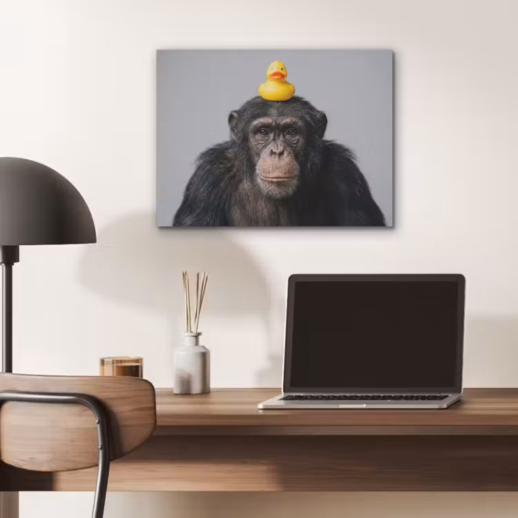 Chimpansee - Badeend - Grijs PET vilt klein -sfeer5