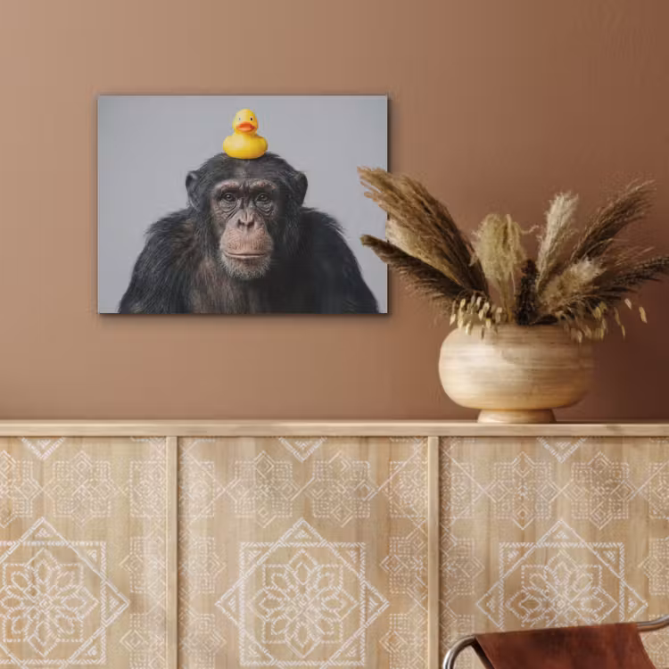 Chimpansee - Badeend - Grijs PET vilt klein -sfeer4